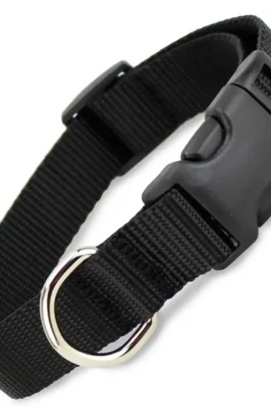 black-nylon-dog-collar