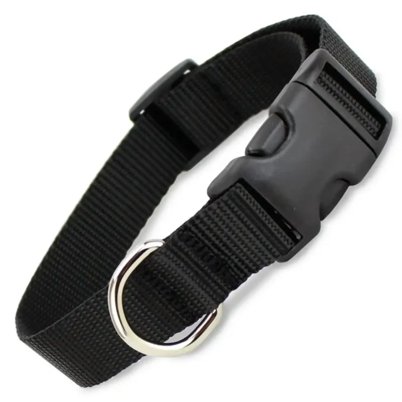 black-nylon-dog-collar