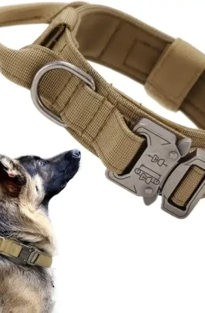 tactical dog collar