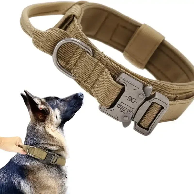 tactical dog collar