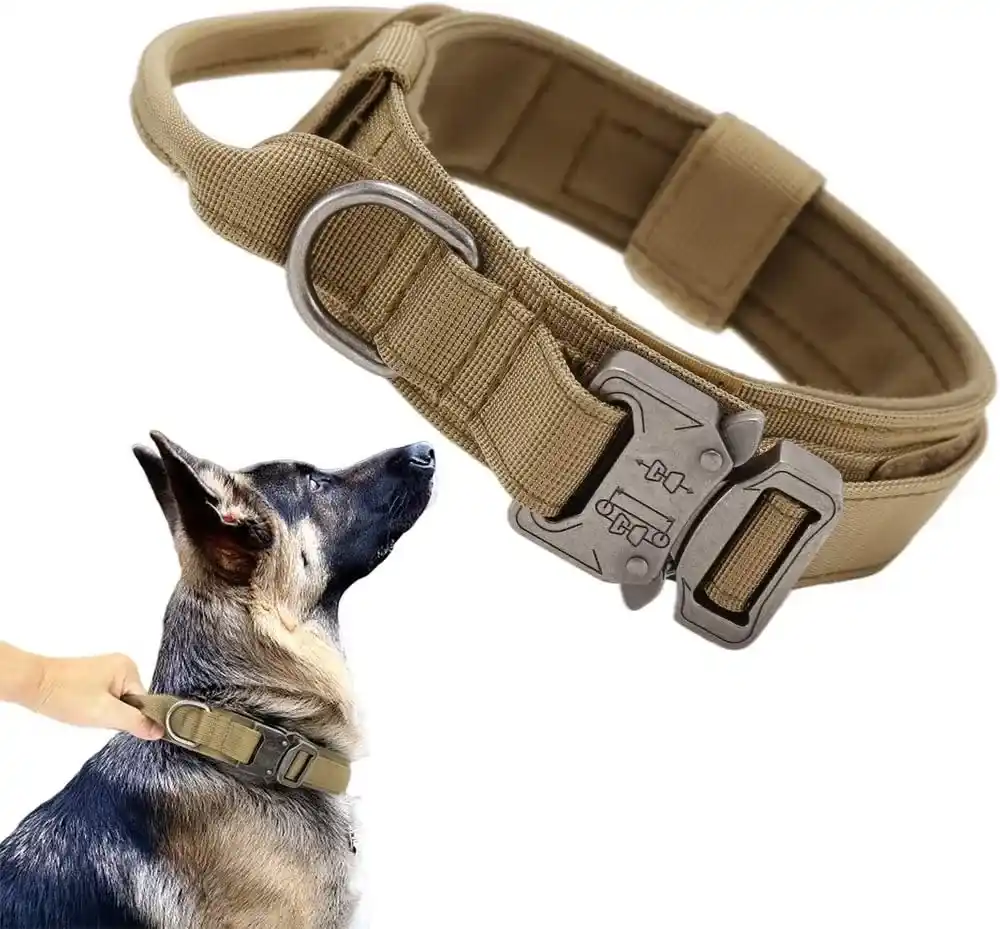 tactical dog collar