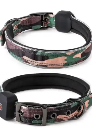 led dog collar