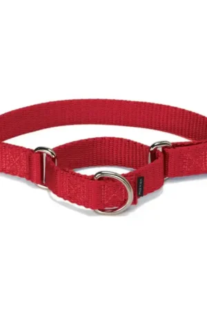 martingale dog collar