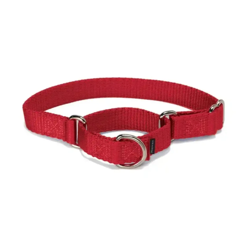 martingale dog collar