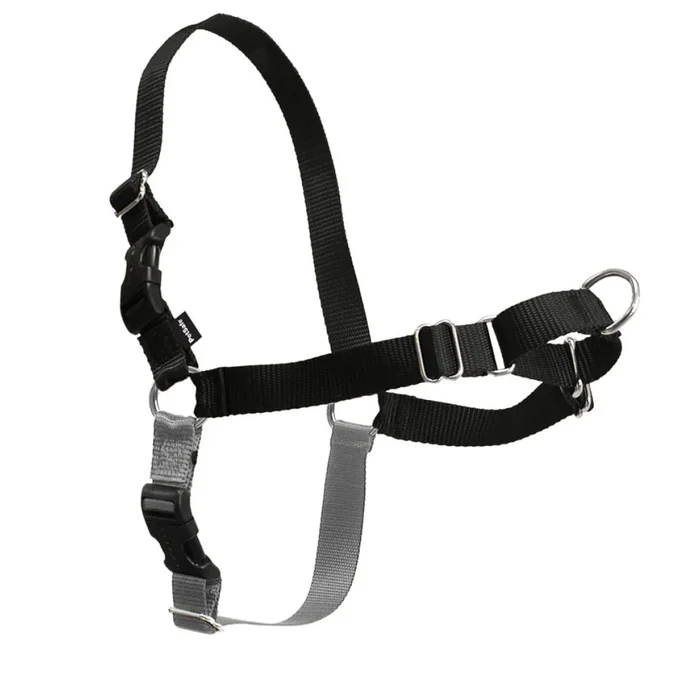 no-pull-dog-harness-black-extra-large