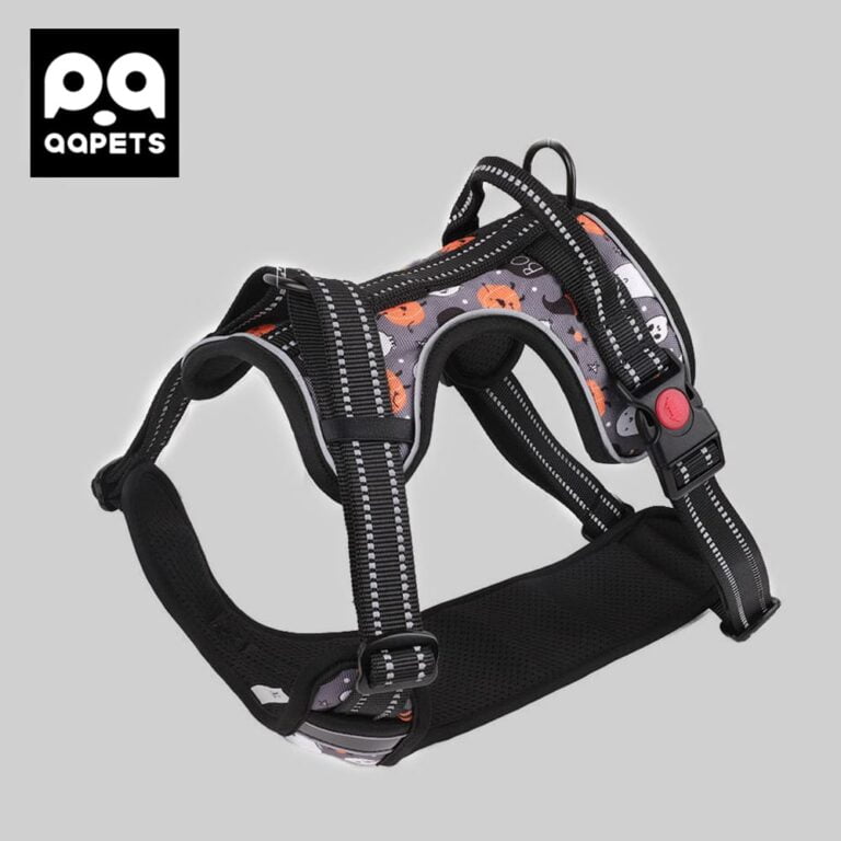 Is a Front or Back Harness Better for Dogs? QQPETS
