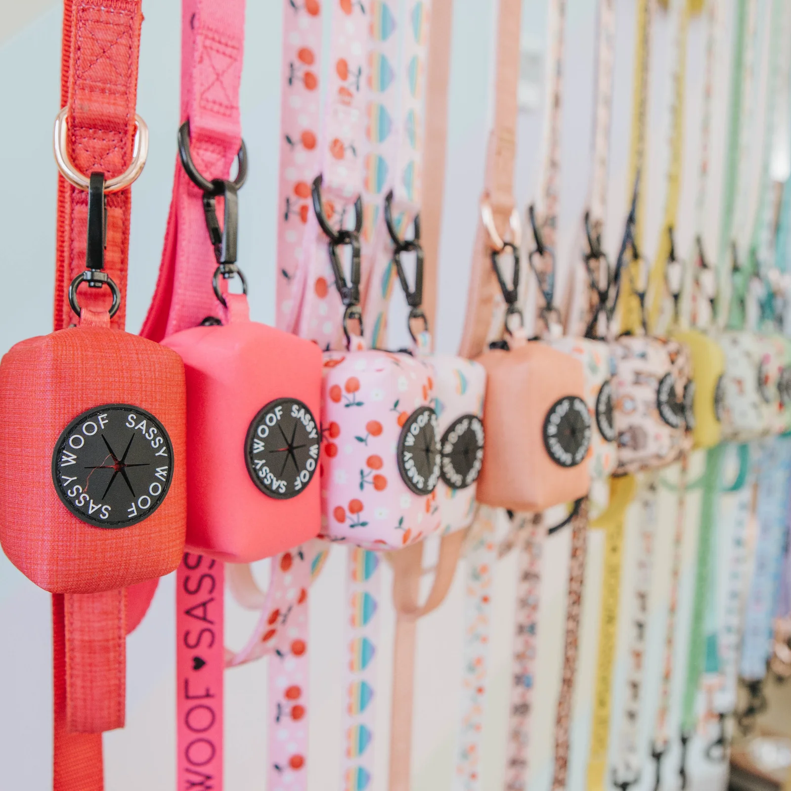 A high-quality custom dog leash with a matching poop bag holder.