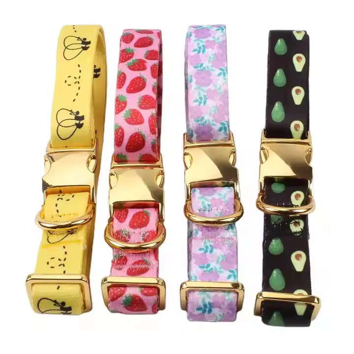 A close-up of a gold metal buckle on a dog collar, showing luxury branding detail.