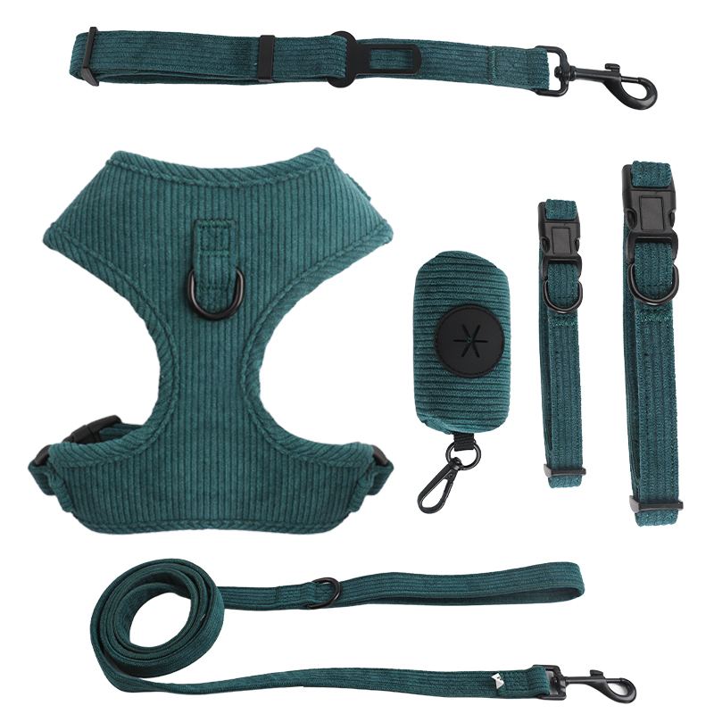 A detailed image showing the high-quality materials and construction of a custom dog collar.