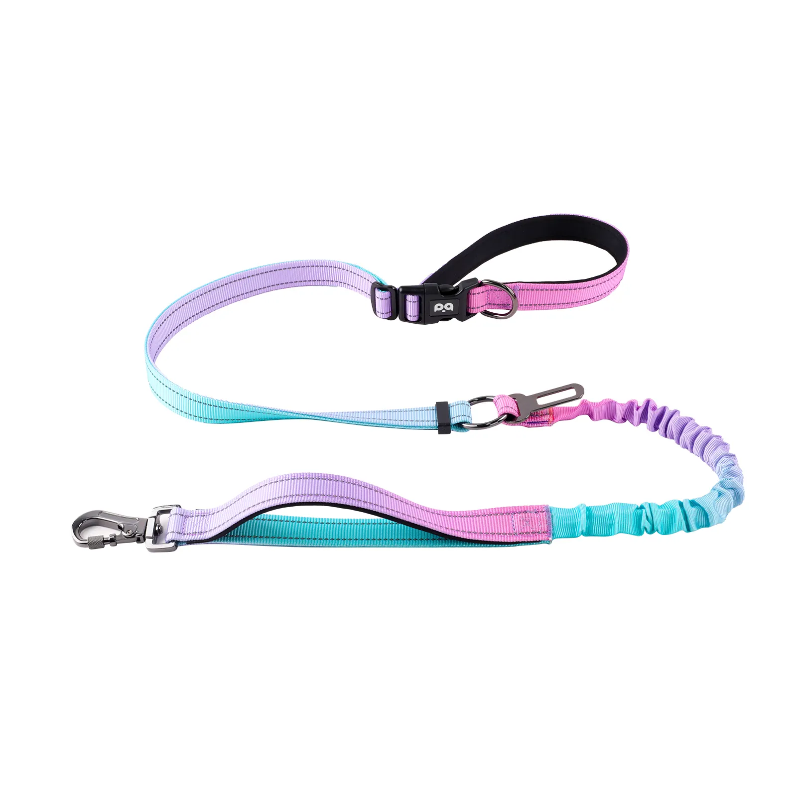 A happy dog wearing a vibrant, high-quality custom dog collar.