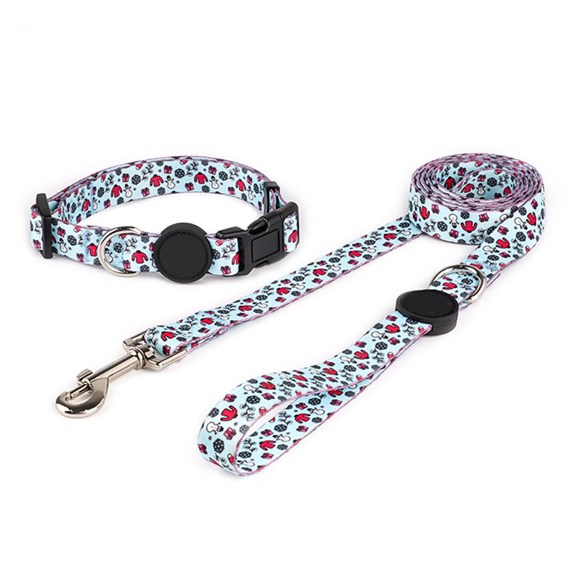 A full set of custom-patterned pet accessories, including a collar, leash, bow tie, and poop bag holder.