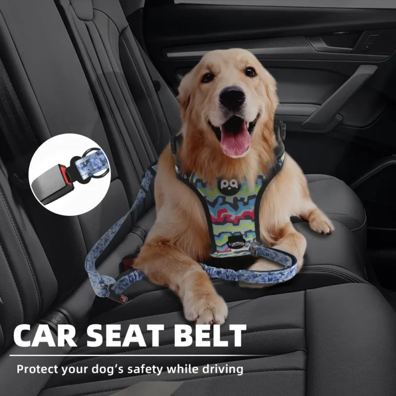 car sear belt bungee dog leash