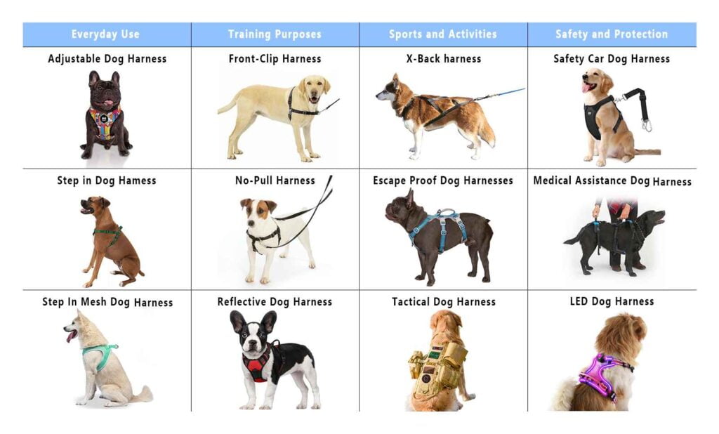 What's the Best Dog Harness for 2024-blog