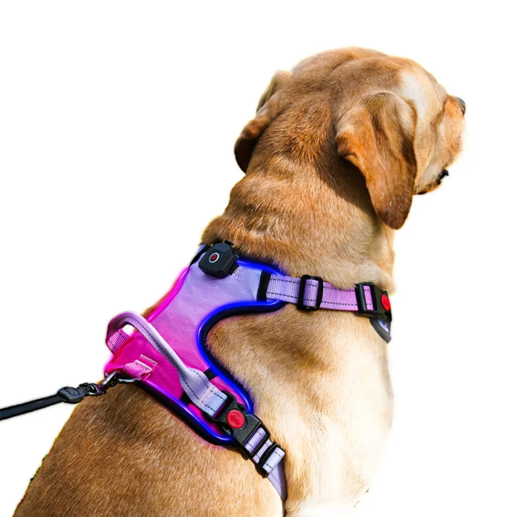 No Pull LED Dog Harness QQPETS