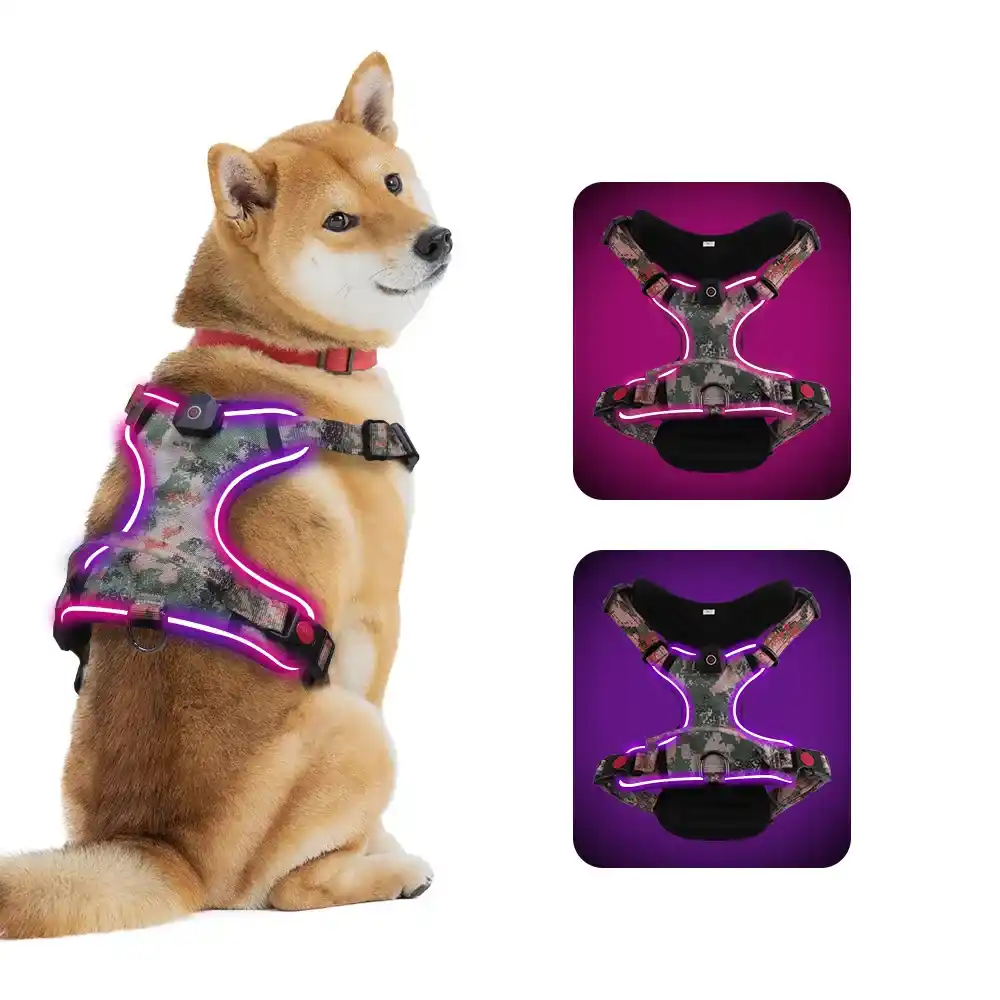 led-dog-harness-show-on-dog