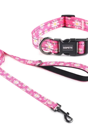 Reflective Dog Collar and Dog Leash set