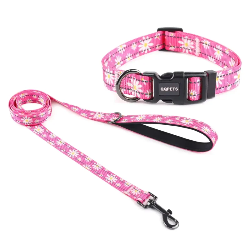 Set de collar y correa reflectantes para perros