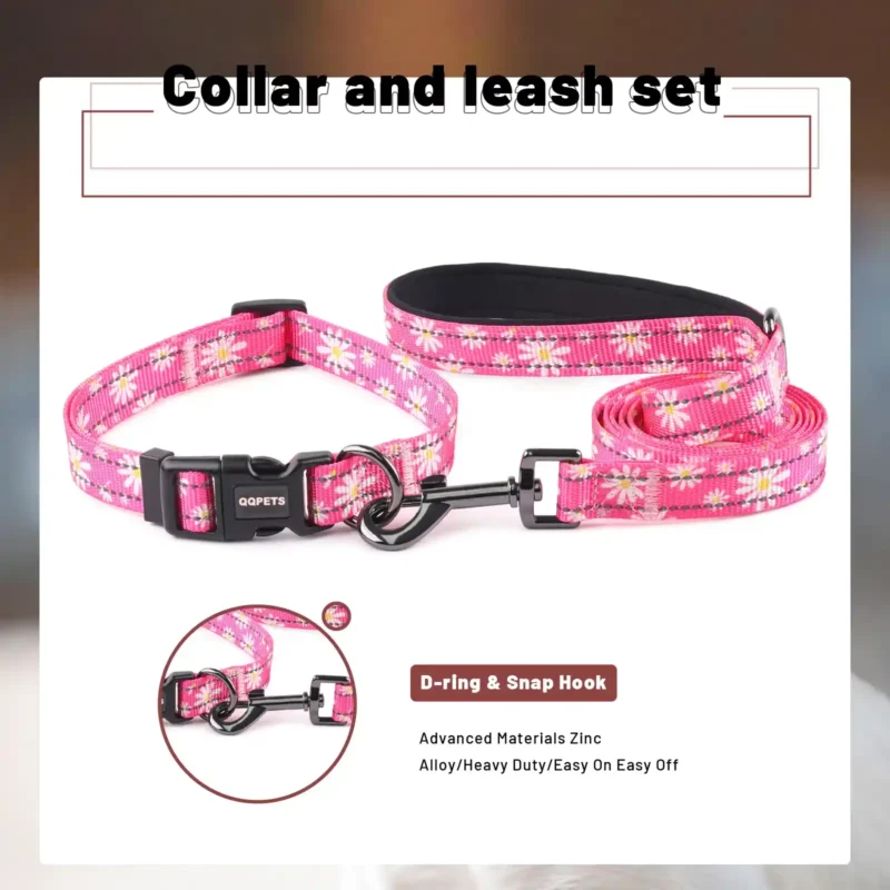 Reflective Dog Collar and Dog Leash set