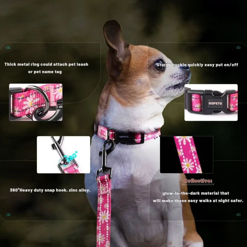 Reflective Dog Collar and Dog Leash set