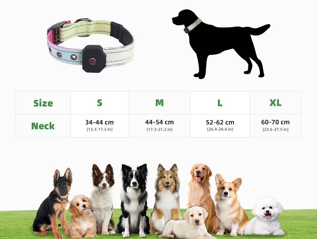 A collection of high-quality LED dog collars, emphasizing cost-effectiveness and customization from direct factory sourcing.