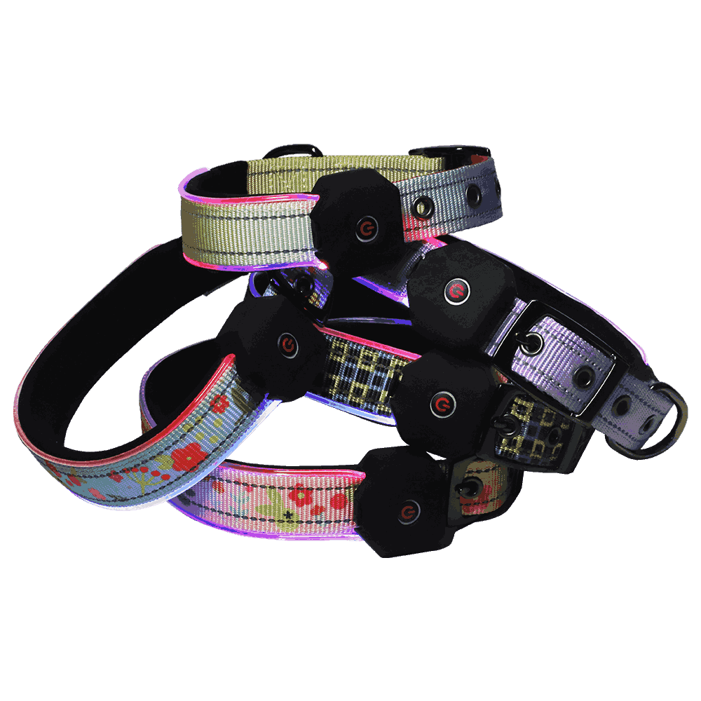 led-dog-collar9