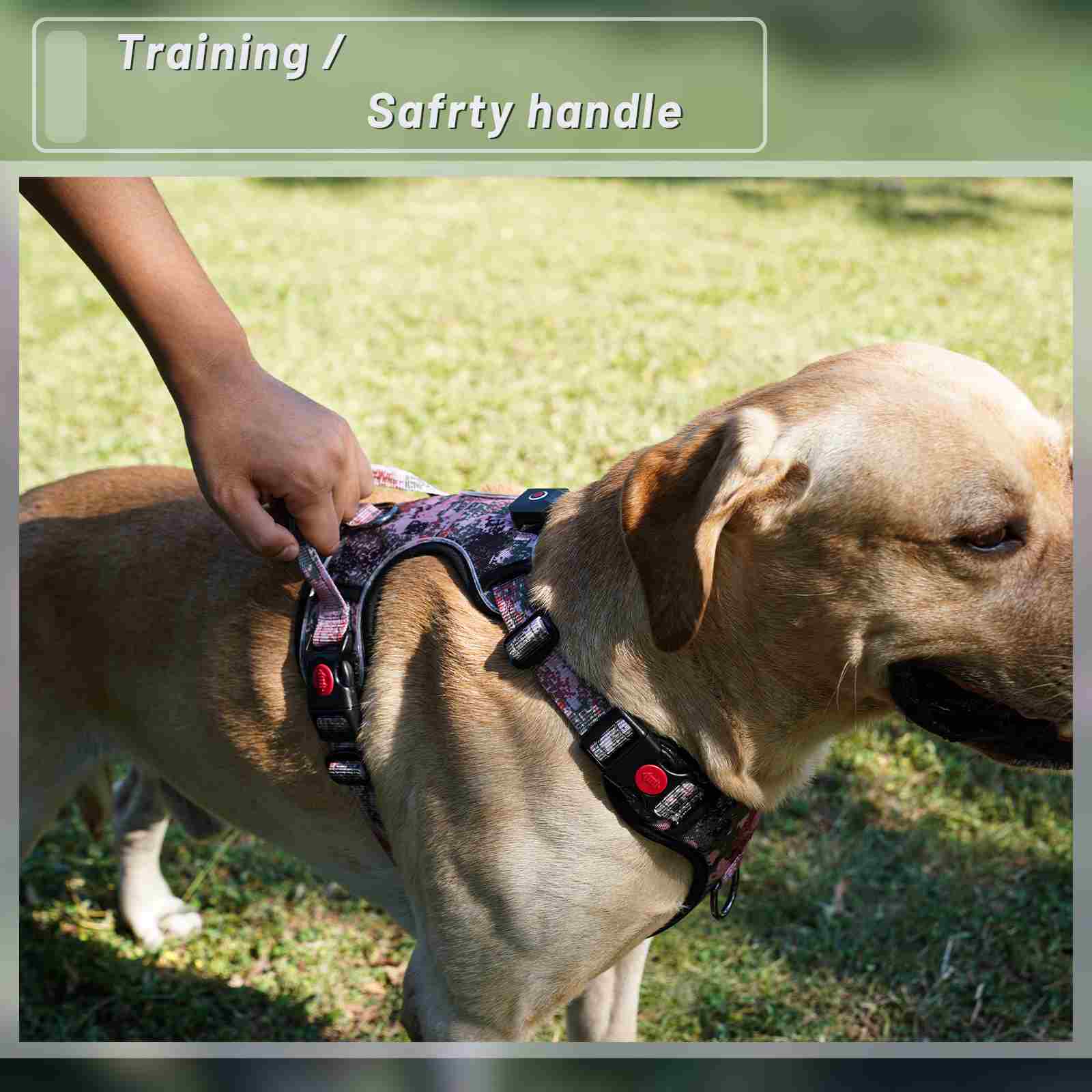A detailed shot showing reinforced Box X stitching on a dog product.