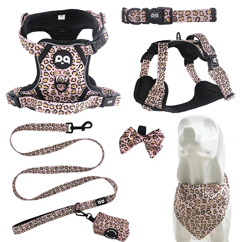 A complete dog harness and leash set with a matching, stylish pattern.