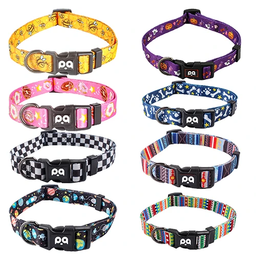 A collection of qqpets products, showcasing the variety and quality available for private label brands.