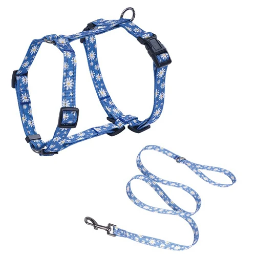 A display of various custom-patterned dog collars, harnesses, and leashes, symbolizing improved profit margins through smart sourcing.