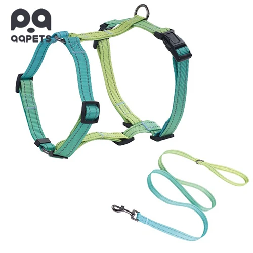 A full matching set of custom pet accessories, including a collar, leash, and harness.