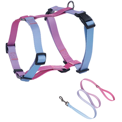 A dog wearing a stylish H-harness, representing a smart inventory choice.