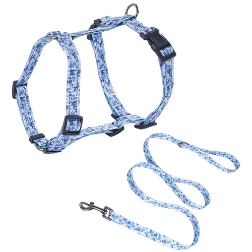 A dog wearing a colorful, custom-patterned H-harness, representing deep personalization.