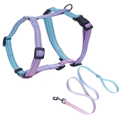 A classic H-style dog harness in a vibrant blue color.