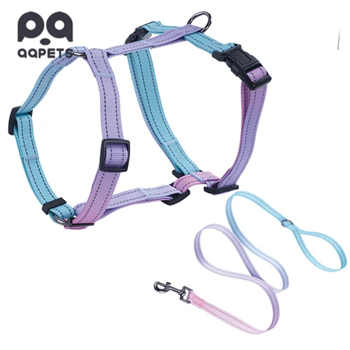A high-quality, durable custom dog harness displayed prominently.