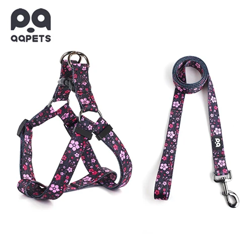 A stylish dog wearing a custom-designed Y-harness, representing brand uniqueness.