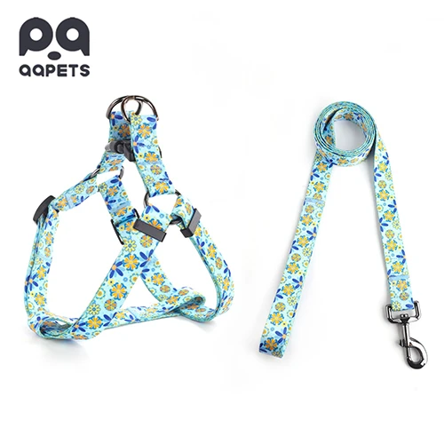 A detailed shot of a Y-harness, highlighting the quality of the stitching and hardware.