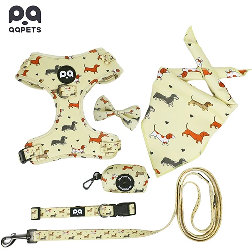 A complete, custom-designed pet accessory set, representing a full, agile brand launch.
