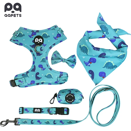 A full custom dog leash and harness set, representing brand consistency and quality.