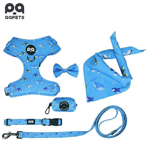 A full set of custom-designed dog harnesses, collars, and leashes, representing a complete brand vision made possible by a global partner.