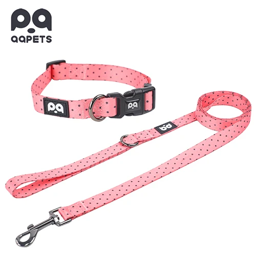 A close-up of a durable, custom-patterned dog collar and leash set.