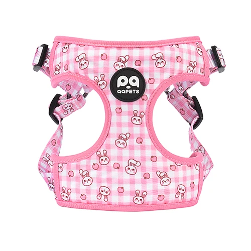 A full custom dog harness set, including a lead, collar, and harness, showcasing a unified brand identity.