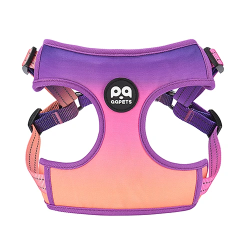 A detailed shot of a harness, highlighting quality construction.