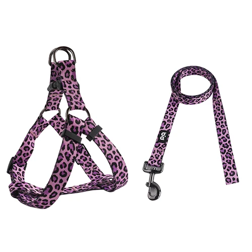 A complete, custom-designed dog leash, collar, and harness set, representing a cohesive brand identity.