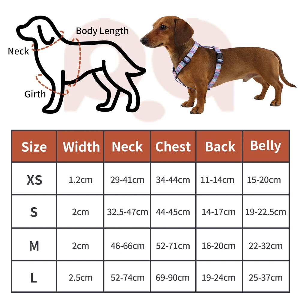 A simplified step-in style harness with fewer adjustment points.