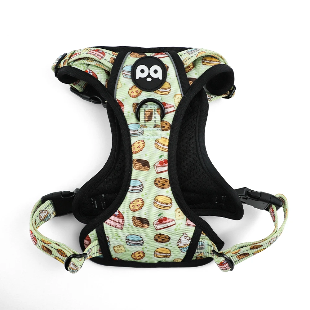 A well-fitted, adjustable anti-pull dog harness on a dog.