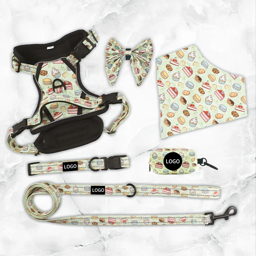 A detailed view of the multiple adjustment points on a dog harness.