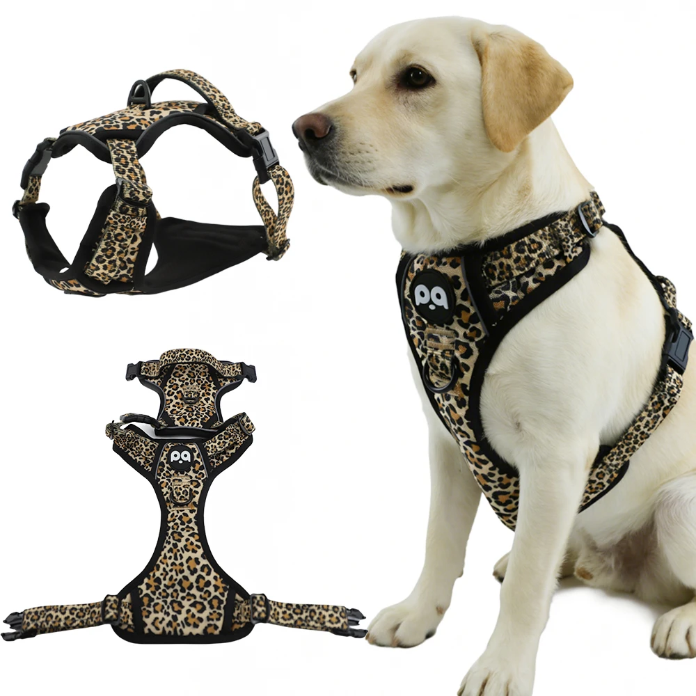 A dog wearing a stylish and comfortable anti-pull custom dog harness.