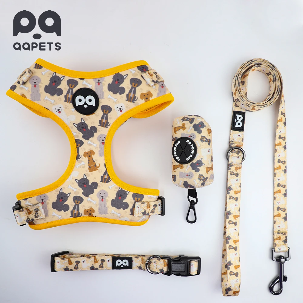 A stylish dog wearing a custom patterned harness, demonstrating a unique brand identity.