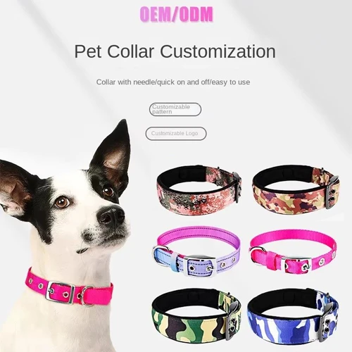 A close-up of a unique, custom-designed dog collar with vibrant colors.