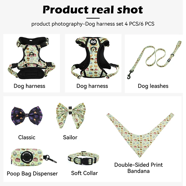 A dog wearing a custom designed harness from a full set.